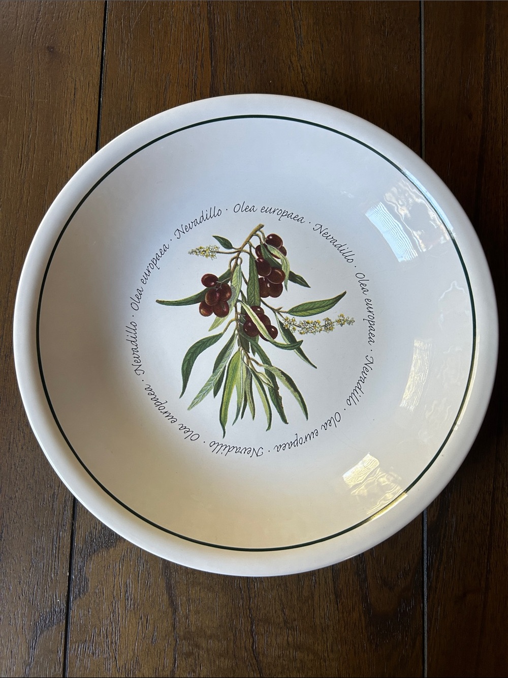Williams-Sonoma WSO20 Olives 9 3/4 inch Pasta Bowl